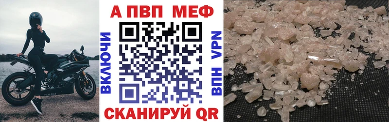 Альфа ПВП СК Гатчина
