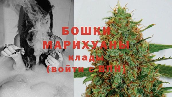 индика Белоозёрский