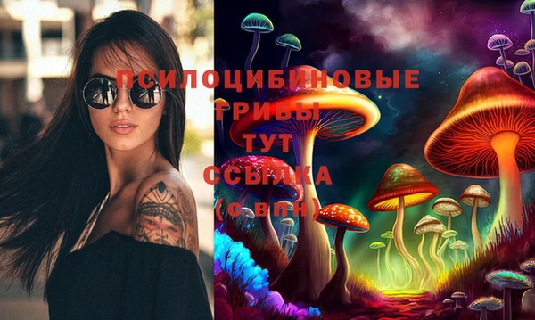 не бодяженный Беломорск