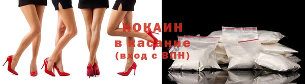 индика Белоозёрский