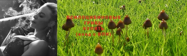 не бодяженный Беломорск