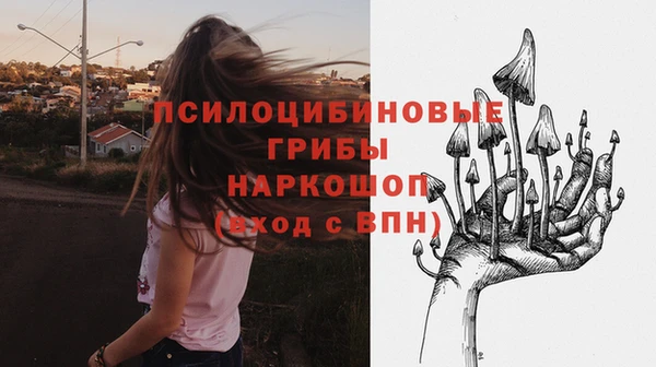 индика Белоозёрский