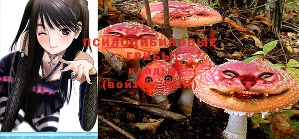 индика Белоозёрский