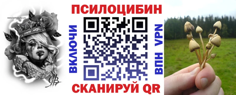 Псилоцибиновые грибы Psilocybe сколько стоит Гатчина