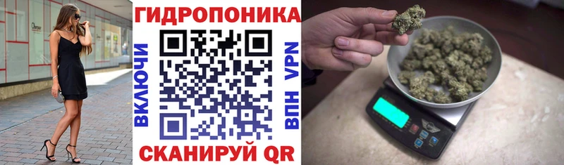 omg зеркало Гатчина Марихуана OG Kush купить наркоту